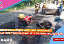 Tunjang Kelancaran Mobilisasi Masyarakat, Dinas PUPR Tulungagung Lakukan Penambalan Jalan