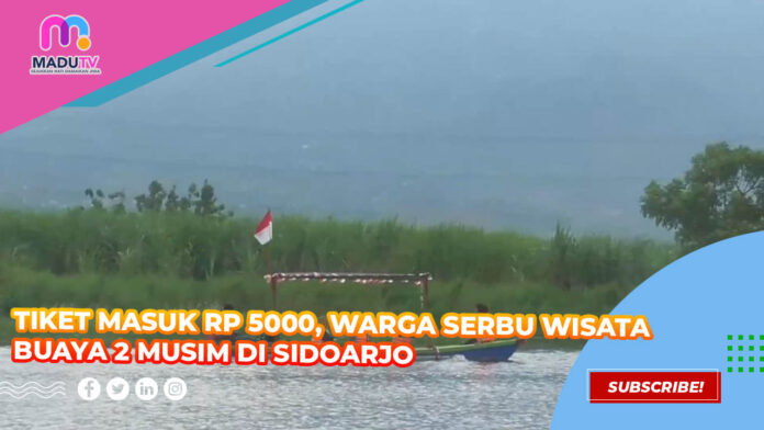 TIKET MASUK RP 5000, WARGA SERBU WISATA BUAYA 2 MUSIM DI SIDOARJO