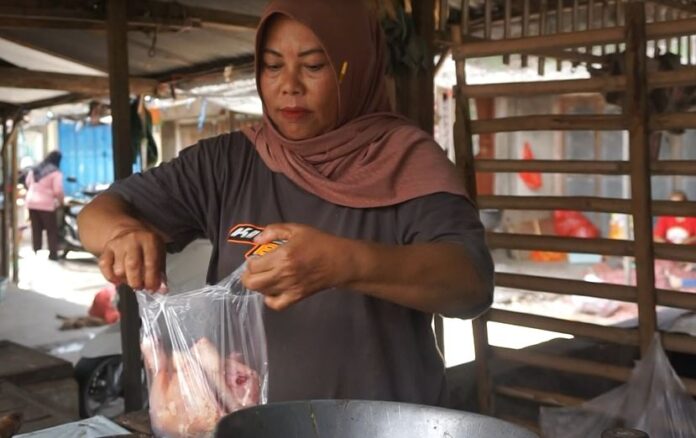 ayam