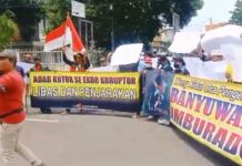 Muak Dengan Oknum – Oknum yang Mencemarkan Nama Baik Banyuwangi, Tim Ammblas Lakukan Demo