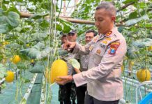Kapolres Kediri Kota Kunjungi Sentra P2B dan Temui Petani-Peternak di Kecamatan Pesantren