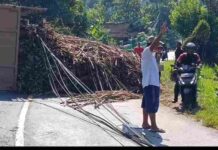 Alami Rem Blong, Truk Tebu Terguling di Jalur Berkelok Blitar-Malang