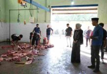 Mbak Wali Tinjau RPH Kelurahan Pojok, Pastikan Hewan Kurban Disembelih Sesuai Prosedur dan Aman Dikonsumsi