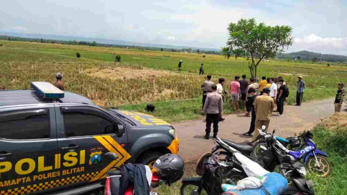 IMG-20251104-WA0018_11zon