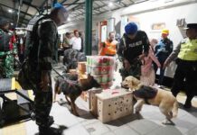 Libatkan Anjing Pelacak K9, KAI Daop 7 Madiun Sisir KA Parcel Cegah Narkoba