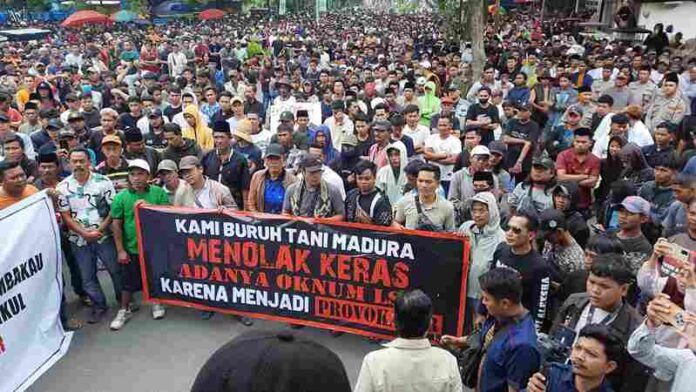 IMG-20260210-WA0045_11zon