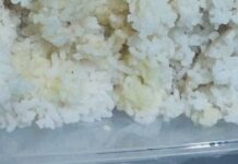 Aksi Penyelundupan Pil LL Dicampur Nasi, Berhasil digagalkan Petugas Lapas Blitar
