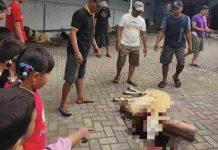 Disaksikan Gen Z, Berqurban di Masjid Wakaf Ash Shofaa bukan Sekedar Seremonial Belaka