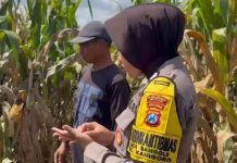 Mantapkan Program Ketahanan Pangan, Bhabinkamtibmas Desa Banggle Kanigoro Lakukan Pendampingan Kelompok Tani