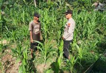 Babin Kamtibmas Ds Lorejo Polsek Bakung, Wujudkan Swasembada Pangan Aman Melalui Patroli Dialogis ke Petani