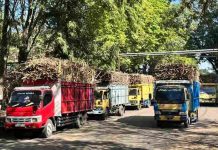 Hari Giling ke-38, PG Pesantren Baru Berhasil Menggiling Tebu Dua Juta Kuintal