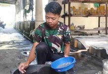 Cuaca Dingin, Petani Ikan Cupang Ketami Rugi hingga Rp50 Juta Akibat Kematian Ikan