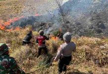 Kapolres Probolinggo Pimpin Langsung Pemadaman Karhutla di Lereng Bromo, Api Belum Sepenuhnya Padam