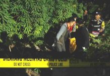 Jenazah Pria Ditemukan di Area Kebun Dekat Jembatan Reksogati Madiun, Polisi Lakukan Penyelidikan