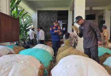 Komisi II DPRD Probolinggo Sidak Gudang Tembakau, Soroti Serapan dan Harga di Tingkat Petani