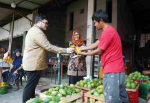 Mangga Podang Kantongi Sertifikat IG, Pemkab Kediri Fokus Jaga Populasi dan Kualitas