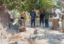 Setelah Hilang dan Ditemukan Kurang dari 24 Jam, Arca Durga Dipindahkan ke Museum untuk Pelestarian dan Edukasi