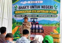HKTI Kediri Bidik 57 Hektar Jagung Untuk Perkuat Swasembada Pangan di Hari Tani Nasional