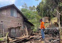 Kotoran Sapi Dibakar, Kandang di Pakuniran Probolinggo Terbakar, Seekor Sapi Mati
