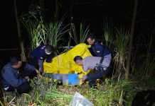 Warga Ditemukan Meninggal di Kawasan Hutan Sumber, Polisi Selidiki Sejumlah Luka di Tubuh Korban