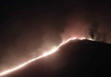 Kebakaran Kembali Melanda Bromo, Jalur Jemplang Ditutup hingga Waktu yang Belum Ditentukan