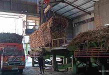 Hari Giling ke-136, PG Pesantren Baru Kediri Capai 7,032 juta kuintal